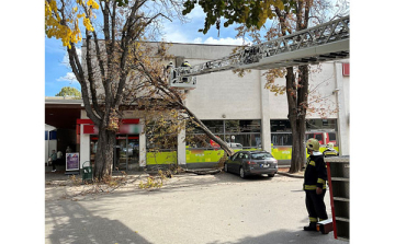 Parkoló autóra esett egy hatalmas faág Dombóváron