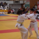 Nyílt Megyei Judo verseny kaposvár