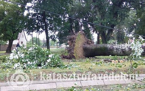 Fakidőléseket, épületkárokat és áramkimaradást okozott a vihar